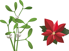 苜蓿 花朵圖片