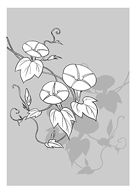 矢量花圖片