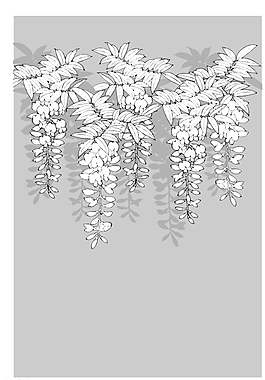 矢量花圖片