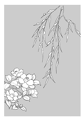 矢量花圖片