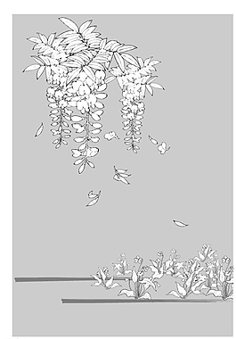 矢量花圖片