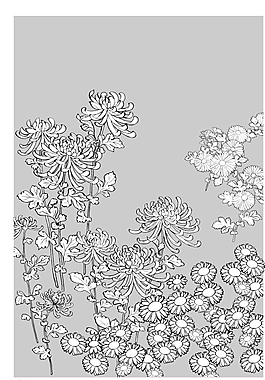 矢量花圖片