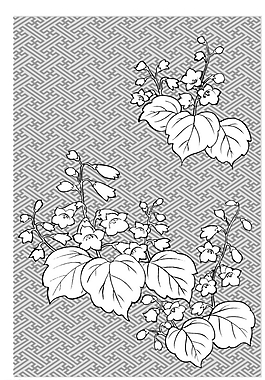 矢量花圖片
