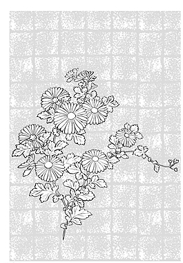 矢量花圖片