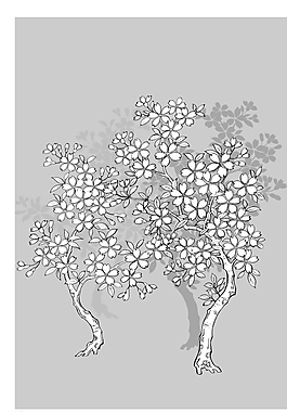 矢量花圖片