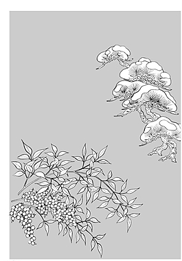 矢量花圖片