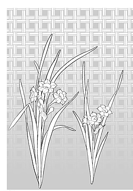 矢量花圖片