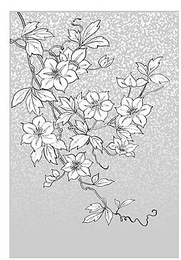 矢量花圖片