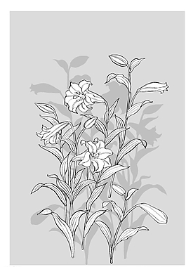 矢量花圖片