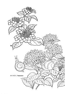 矢量花圖片