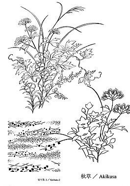 矢量花圖片