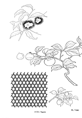 矢量花圖片