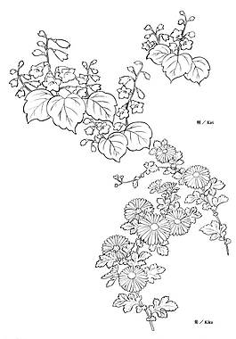 矢量花圖片