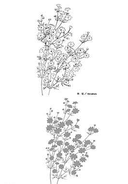 矢量花圖片