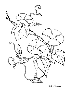 矢量花圖片