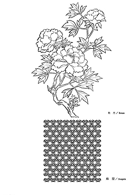 牡丹花圖片