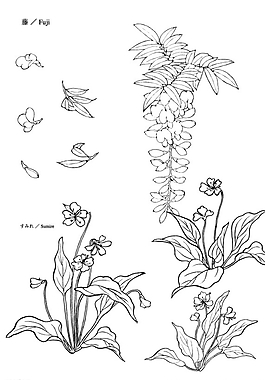 矢量花圖片