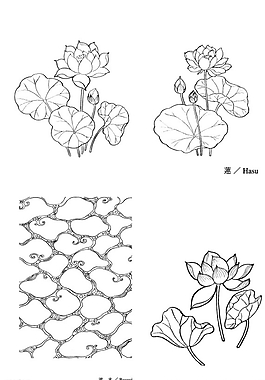 蓮花圖片