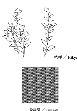 桔梗圖片