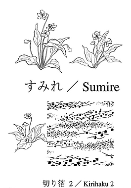 矢量花圖片
