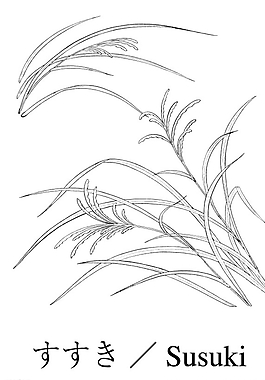 矢量花圖片