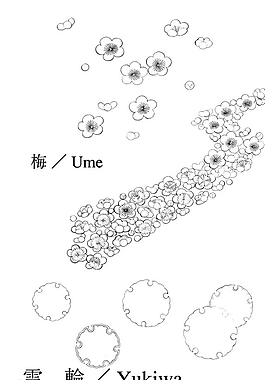 梅花 雪圖片