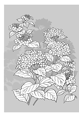 矢量花圖片