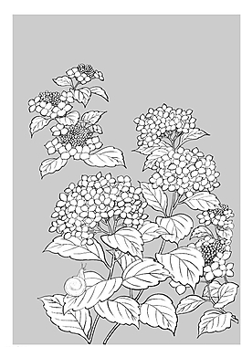 矢量花圖片