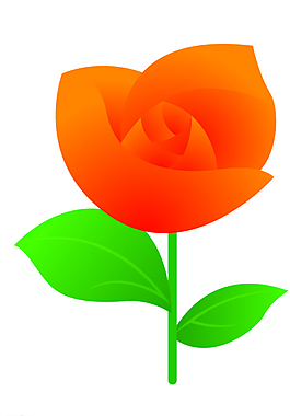 花朵圖片