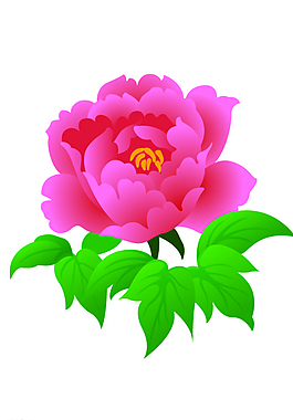 花朵圖片