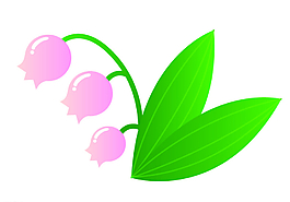 花朵圖片