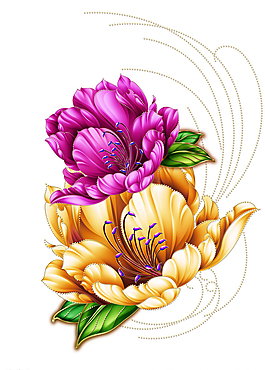 牡丹花圖片