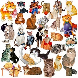可爱的小猫psd