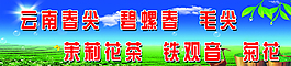 茶葉 廣告圖片