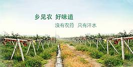 淘寶農產品設計首頁海報圖