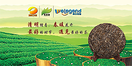 清明節淘寶古樹茶促銷海報圖