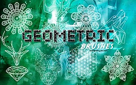 簡約時尚的花紋和鉆石PS筆刷