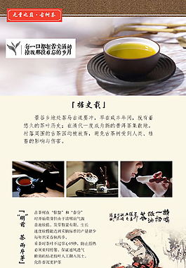 微商古樹眾籌茶招商海報展架長圖專用