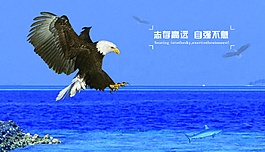 展板模板 展板背景 展板設(shè)計圖片