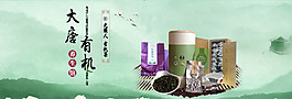 有机茶
