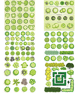 綠色的植物