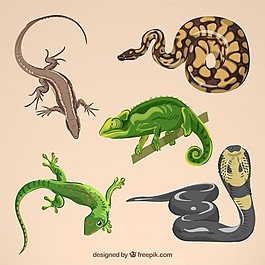手畫爬蟲