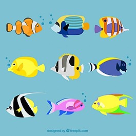 各種外來魚類