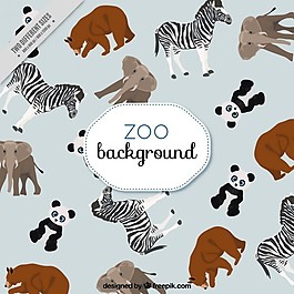 野生動(dòng)物園bazkground