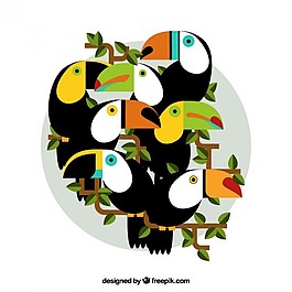 在平面設(shè)計(jì)奇特的巨嘴鳥