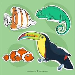 魚(yú)類(lèi)和動(dòng)物標(biāo)簽