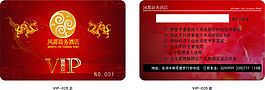 vip (20)