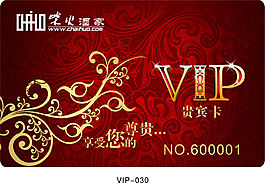 vip (30)