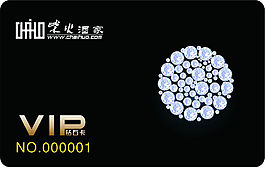 vip (31)