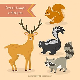 手工繪制可愛的森林動物集合